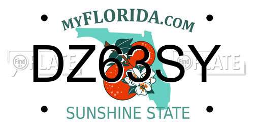 DZ63SY Florida License Plate