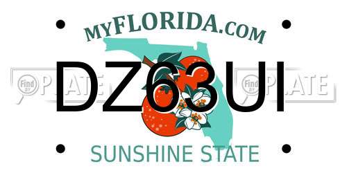 DZ63UI Florida License Plate