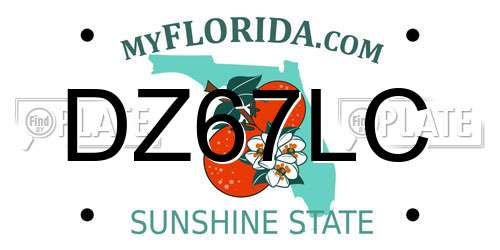DZ67LC Florida License Plate