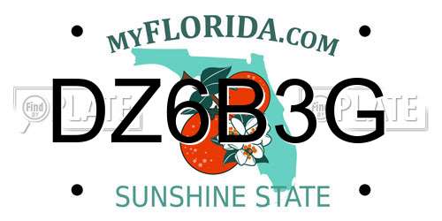 DZ6B3G Florida License Plate