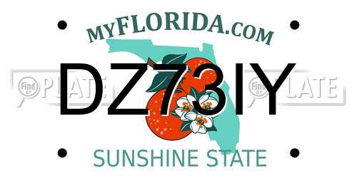 DZ73IY Florida License Plate