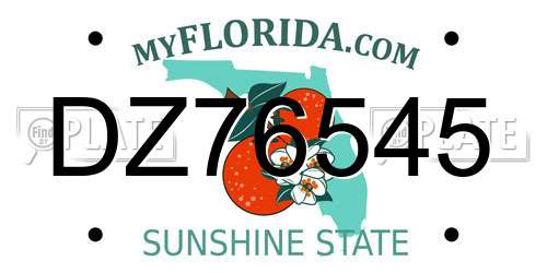 DZ76545 Florida License Plate