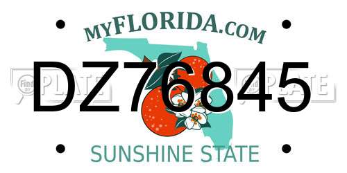 DZ76845 Florida License Plate