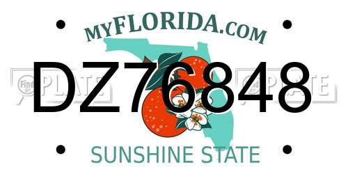 DZ76848 Florida License Plate