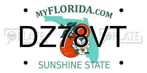 DZ78VT Florida License Plate
