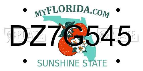 DZ7G545 Florida License Plate