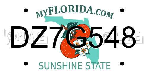 DZ7G548 Florida License Plate