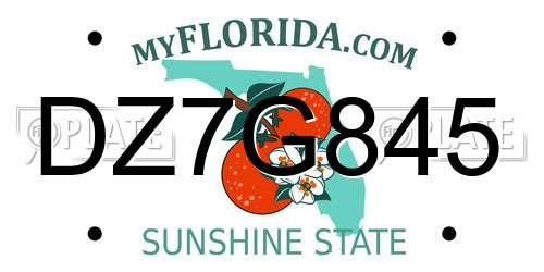 DZ7G845 Florida License Plate