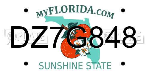 DZ7G848 Florida License Plate