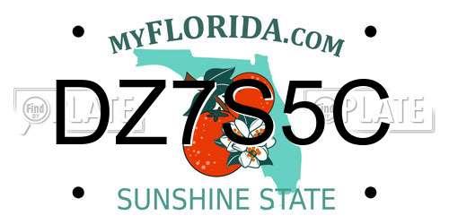 DZ7S5C Florida License Plate