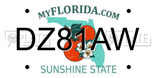 DZ81AW Florida License Plate
