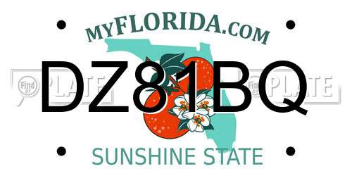 DZ81BQ Florida License Plate