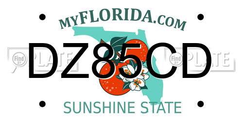 DZ85CD Florida License Plate