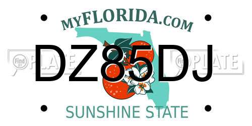 DZ85DJ Florida License Plate