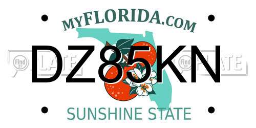 DZ85KN Florida License Plate
