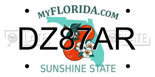 DZ87AR Florida License Plate