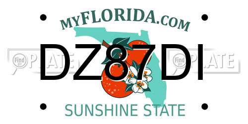 DZ87DI Florida License Plate