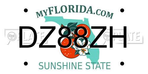 DZ88ZH Florida License Plate
