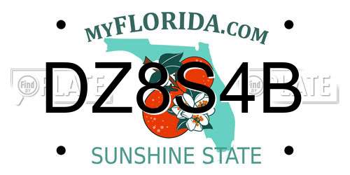 DZ8S4B Florida License Plate