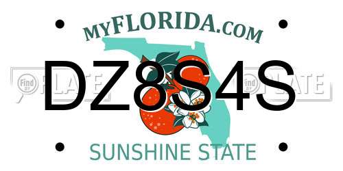 DZ8S4S Florida License Plate