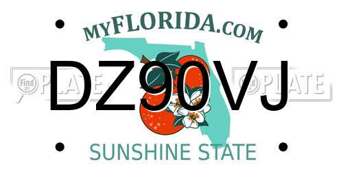 DZ90VJ Florida License Plate