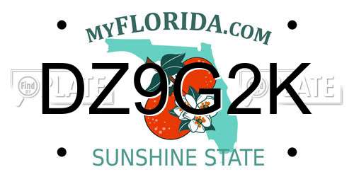 DZ9G2K Florida License Plate