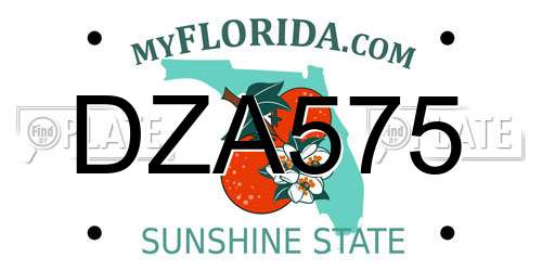 DZA575 Florida License Plate