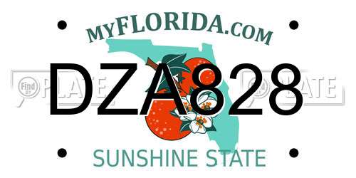 DZA828 Florida License Plate