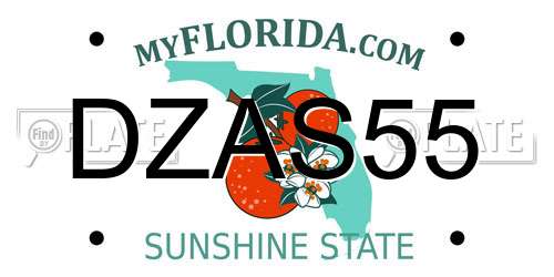 DZAS55 Florida License Plate