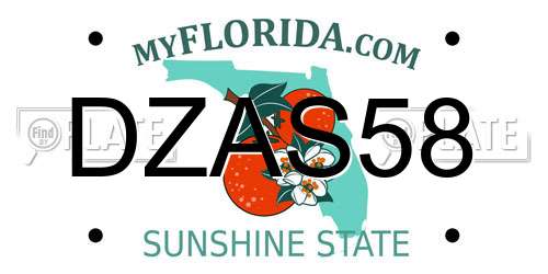 DZAS58 Florida License Plate
