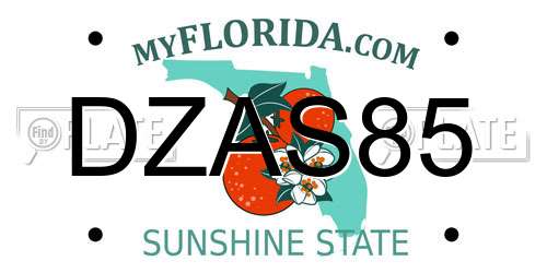 DZAS85 Florida License Plate