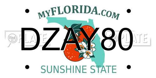 DZAY80 Florida License Plate