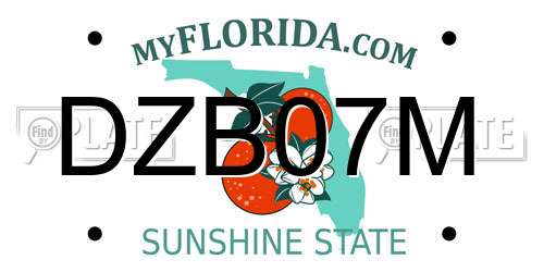 DZB07M Florida License Plate