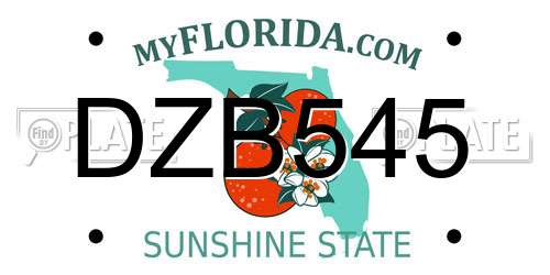 DZB545 Florida License Plate