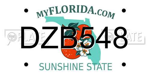 DZB548 Florida License Plate