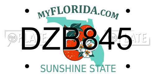 DZB845 Florida License Plate