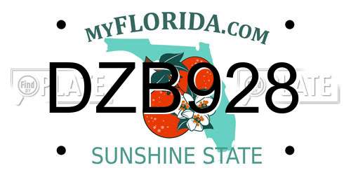 DZB928 Florida License Plate