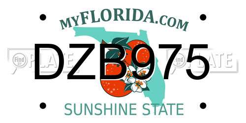 DZB975 Florida License Plate