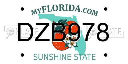 DZB978 Florida License Plate