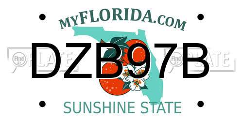 DZB97B Florida License Plate