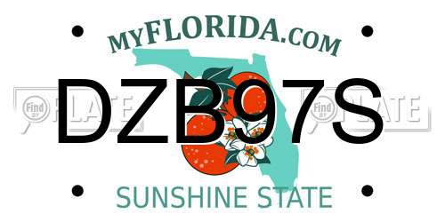 DZB97S Florida License Plate
