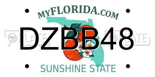 DZBB48 Florida License Plate