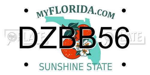 DZBB56 Florida License Plate