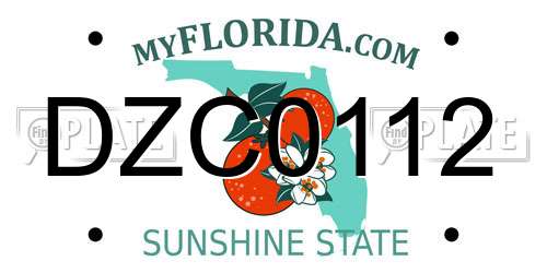 DZC0112 Florida License Plate