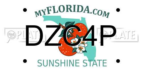 DZC4P Florida License Plate