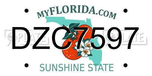 DZC7597 Florida License Plate
