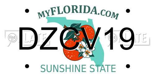 DZCV19 Florida License Plate