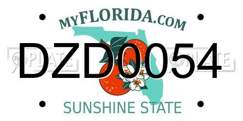 DZD0054 Florida License Plate