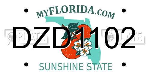 DZD1102 Florida License Plate
