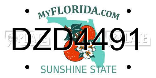 DZD4491 Florida License Plate